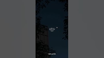 #محمد_اللحيدان #اللحيدان #قرآن #القرآن_الكريم #القرآن #تلاوات #اسلام #تلاوة_خاشعة