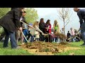 Rockville Celebrates Earth Month and Arbor Day (2025)