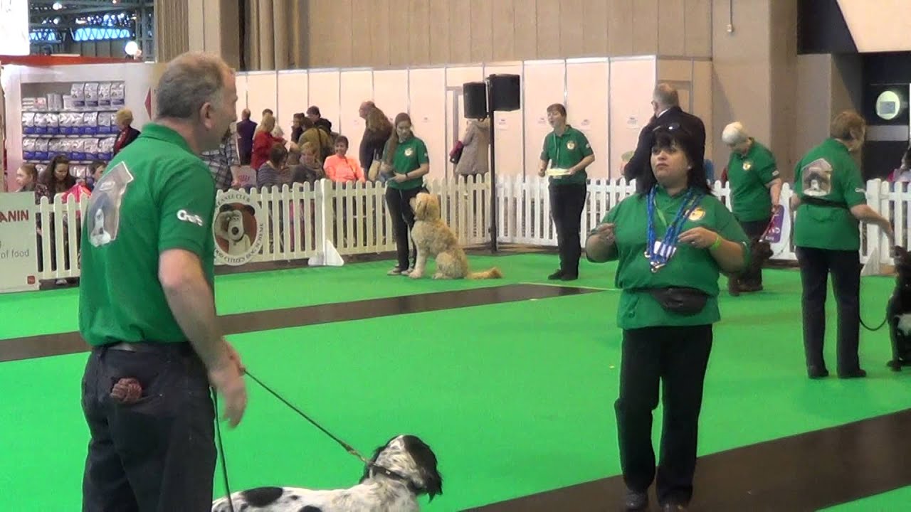 Kennel Club Good Citizen Dog Scheme Bronze Display Crufts 2014 YouTube