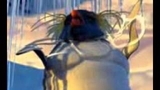 Punjabi Totay   Penguins Sardar mpeg4 by robby