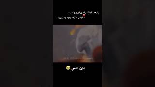 يبن امي ملا حيدر الفريجي