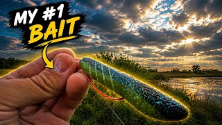I Can’t Believe This Bait Works THIS WELL!