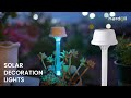 Hardoll Solar Decoration Lights (SGL-01RGB) | Solar Lights | Waterproof | Christmas LED Lights