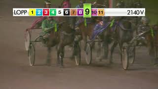 Vidéo de la course PMU PRIX STOLOPP