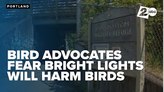 New ride at Oaks Park could negatively impact bird species, Bird Alliance of Oregon says