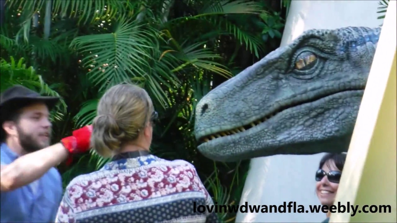 Blue Raptor Hug Meeting Blue the Raptor at Raptor Encounter Universal Island of ...