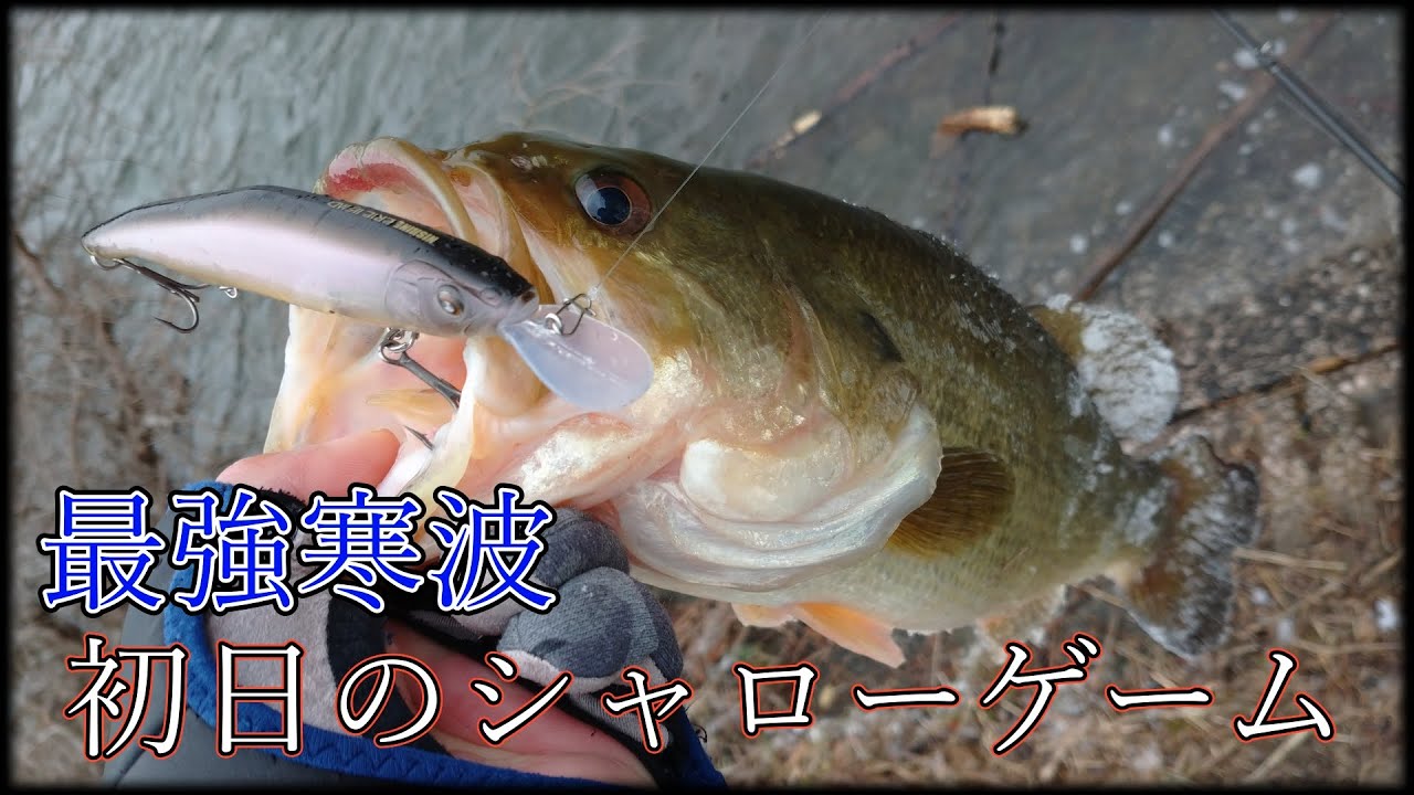 【寒波】体感温度マイナス12度【荒天パワー】