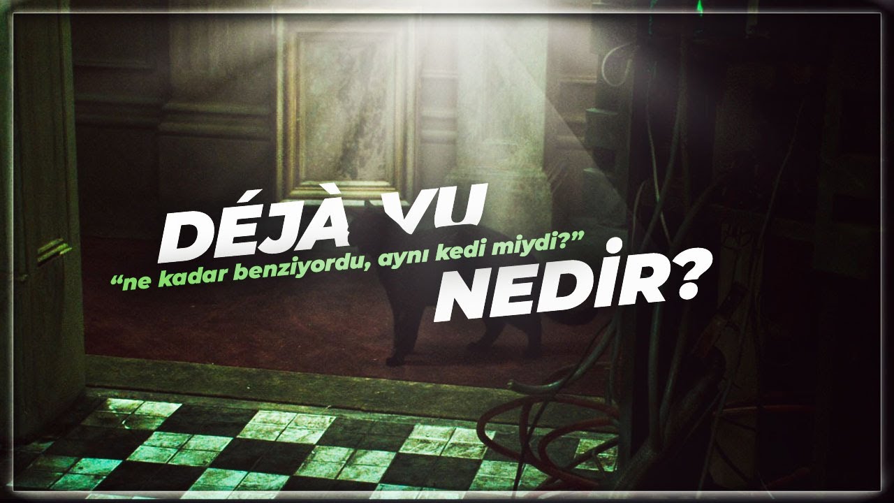 Déjà vu Nedir? | Siyah Bir Kedi Gördüm...