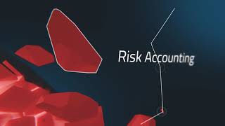 Risk Accounting Explained through Animation
