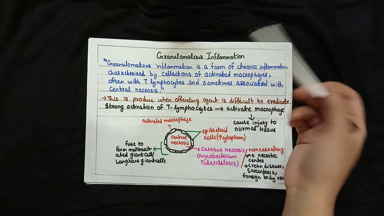 Chronic inflammation (part 4) |Pathology|