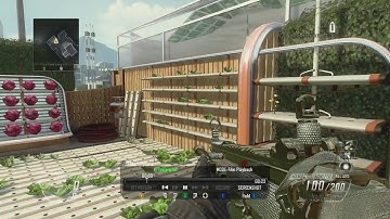 BO2 New Prestige 15 + Colored name Infection film