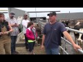 Anaerobic Digester Tour -  Manure Collection