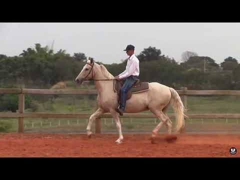 Lote 04 - Flor do Mar 42