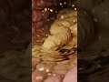 Stool passage inside the human intestine  Gut Health | Body Anatomy 3D
