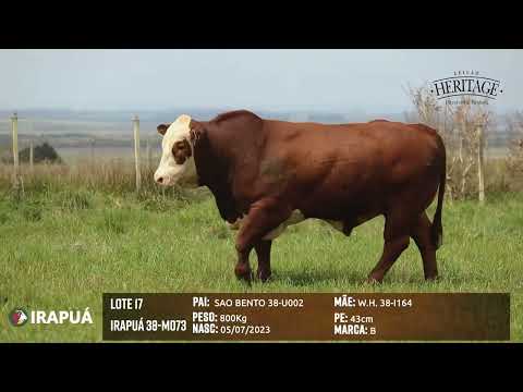 LOTE 17   IRAPUÁ 38 M073