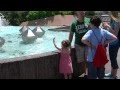 Playing in the imagination pavilion fountains