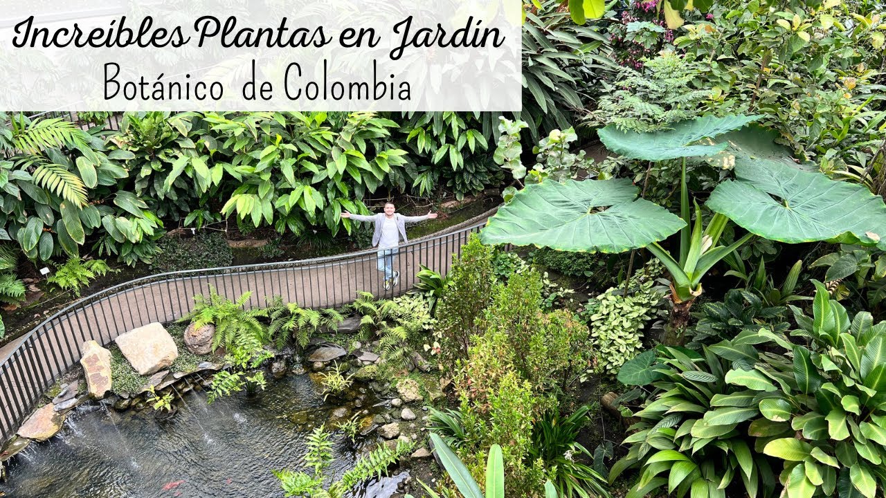 IMPRESIONANTE Jardín Botánico de Colombia