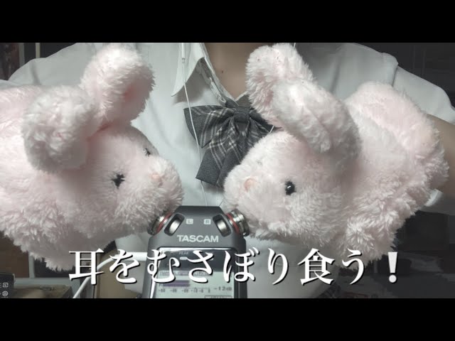 【ASMR】女子高校生による手袋の音