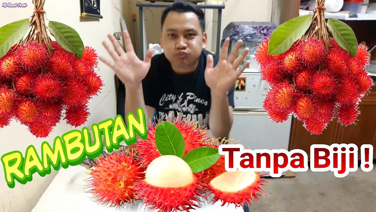 Selai Rambutan SEEDLESS RAMBUTAN 🍒 - YouTube