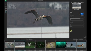 How to Batch Process Photos with ON1 NoNoise AI