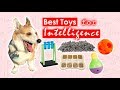 SMART DOG TOYS - Best Toys for Intelligence