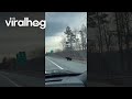 Black Bear Scoots Backwards Under Guardrail || ViralHog