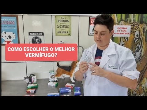 Vídeo: Que medicação eu posso usar em um gato para curar um corte?