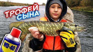 картинка: Первый трофей сына! Щука на WD40. Ловля щуки на воблеры! Рыбалка на щуку! | Рыбалка осень 2017