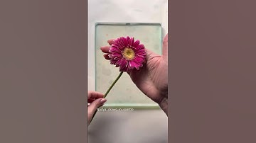 Botanical gel printing #monoprint #printmaking #gelliplate #gelpress