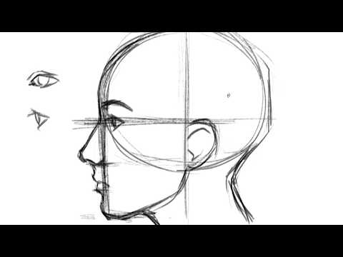 Video: How To Draw A Profile