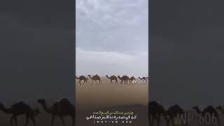 ون ابن جدلان من لايعن لاعه