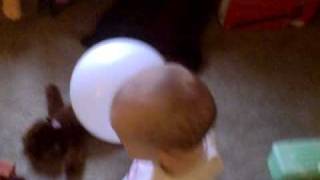 VID00033.AVI