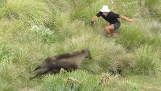 We got THIS close! Deer and Tahr Stalking NZ | Episode 1