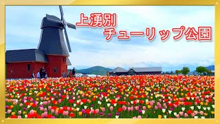 【風景】上湧別チューリップ公園　Tulip Park