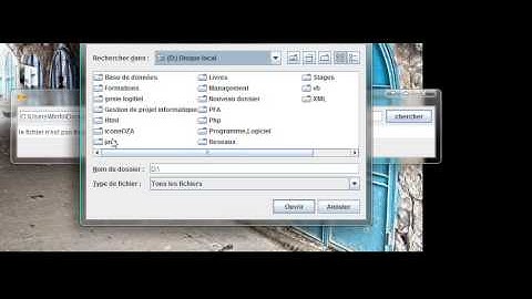 application swing:Recheche d