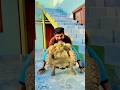 Kis Main Dam Hey Jo Is Pet Ka Samna Aye #shorts #attitude #pets #animals #petlover #viral #trending