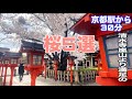 京都の桜　京都駅から30分　混雑を避けてゆっくり見たい！おすすめ5選
