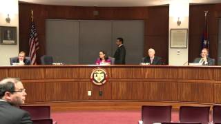 Woodbridge Township Council Meeting