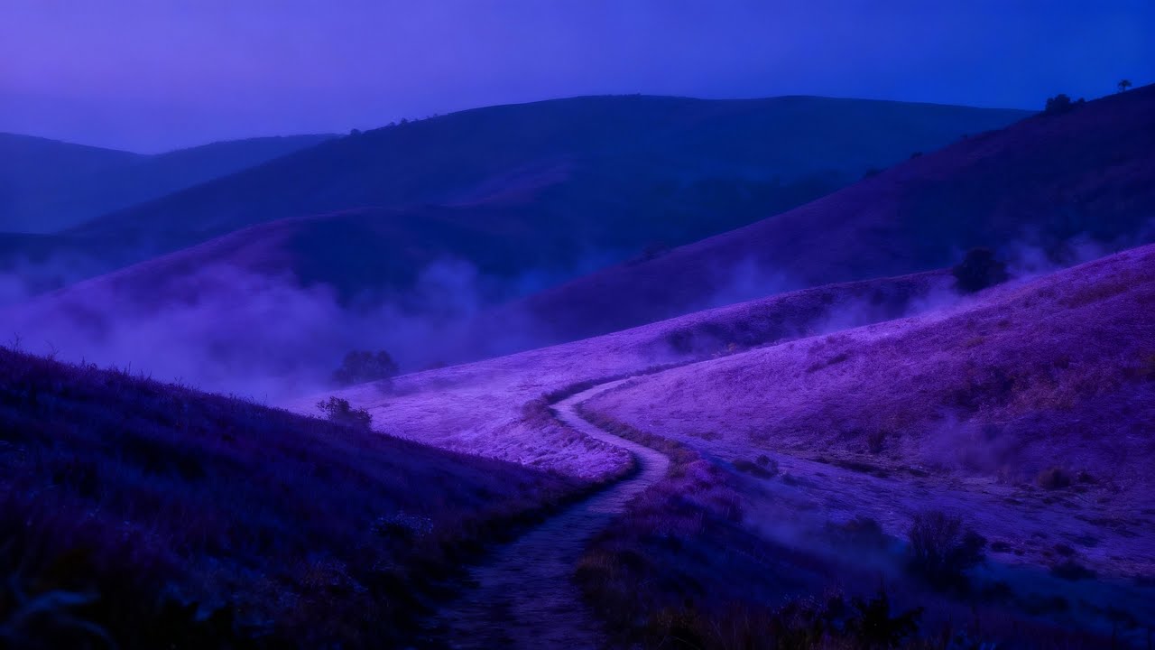 you're safe now, rest