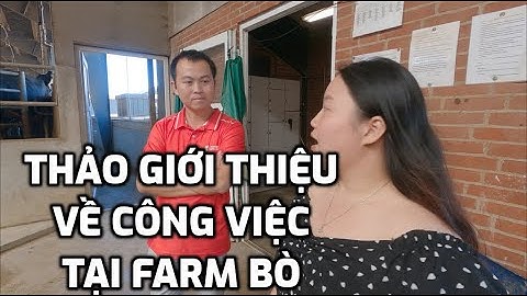 Tập 39 - Thảo Giới Thiệu Về Công Việc Tại Farm Bò - Thực Tập Hưởng Lương Đan Mạch