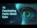 Fascinating Eye Facts That Will Change How You See The World 