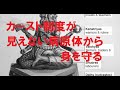 第４章　農耕の拡大に伴い増えるマラリア「カースト制度」が対抗策に