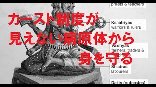 第４章　農耕の拡大に伴い増えるマラリア「カースト制度」が対抗策に
