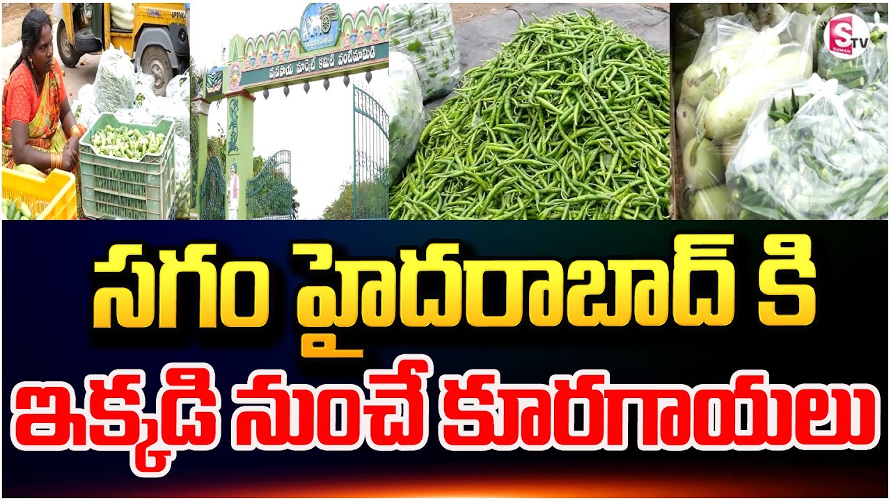 సగం హైదరాబాద్ కి ఇక్కడి నుంచే కూరగాయలు | Farm To Kitchen Via VantiMaamidi | 