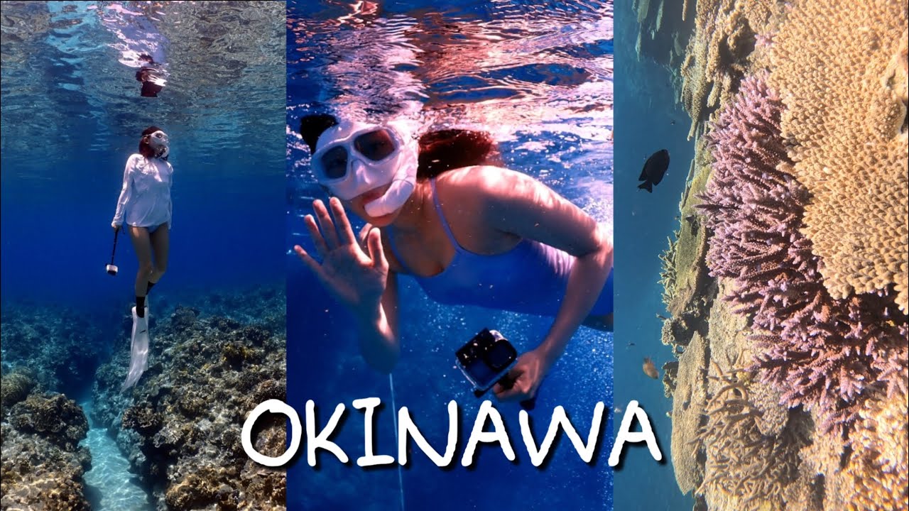 오키나와에서 스노클링 🐠🐟🌊 케라마제도 프리다이빙, 국제거리 수산시장에서 생선 사서 저녁먹기