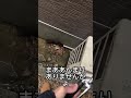 いらないオプションにお金を払わないように🙇#diy