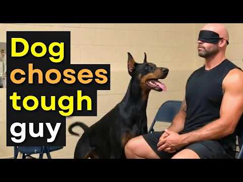 When a Dog Chooses No One…😭 Then This Moment Changes Everything 🐶❤️