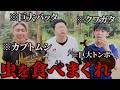 【過去イチヤバい】虫同士を戦わせて負けた奴を食べた結果…