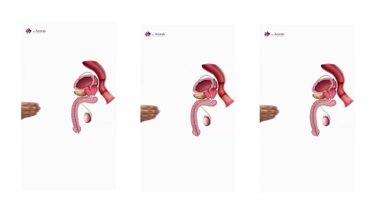 7 Male Pleasure Points You Need to Know -   Lesson for Men & Women