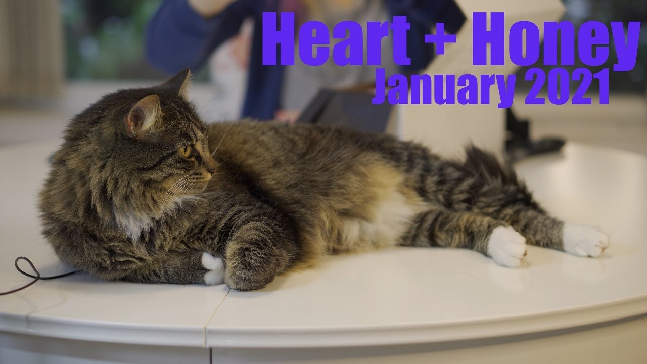 Heart + Honey January 2021, 18+ Mystery Boxes